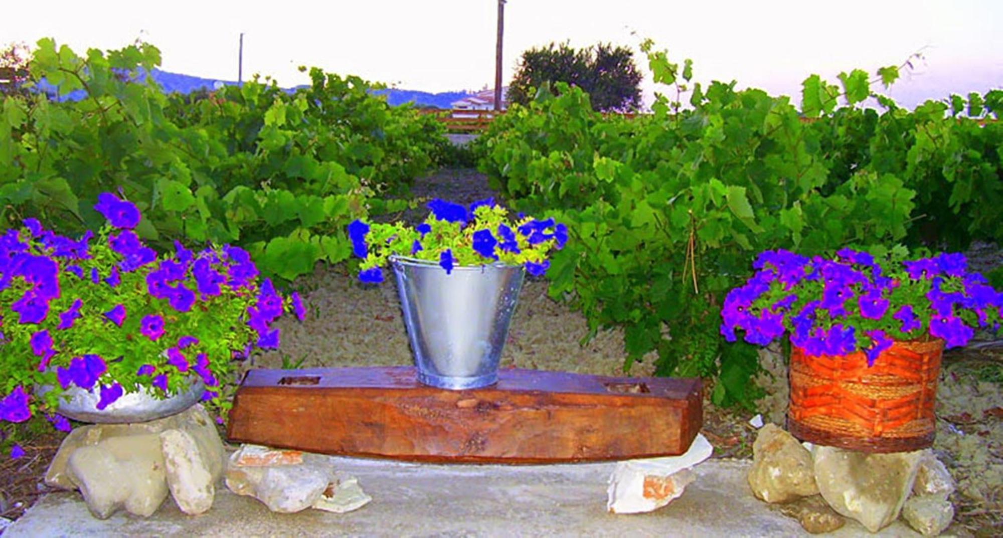 Augoustinos Villa Sarakinádhon Buitenkant foto